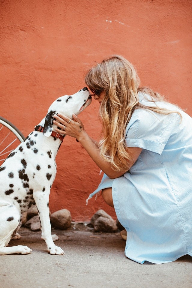 women caressing the dog