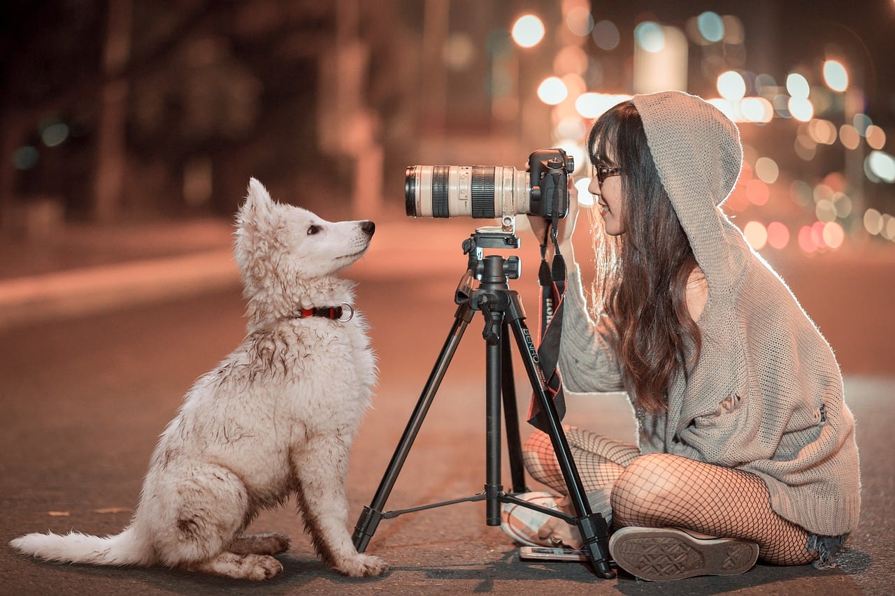 How to Prepare Your Dog for Photoshoot