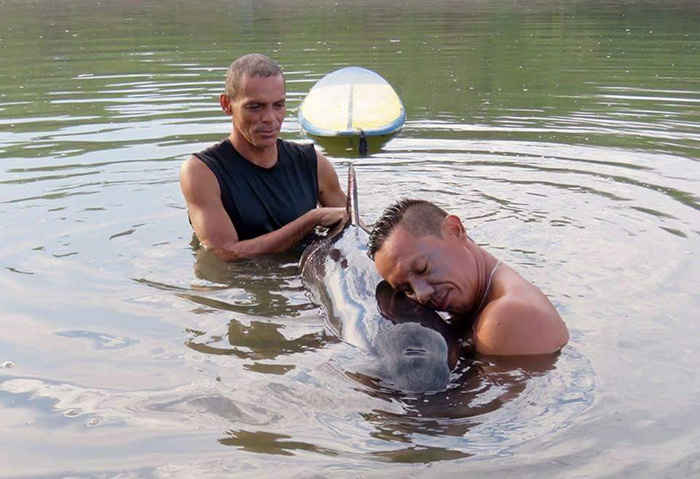 Surfers listen to the whale's crying baby and spend 6 hours rescuing him