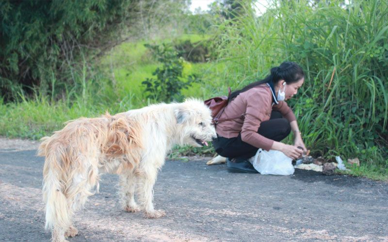 Dog never loses hope while waiting for his left family 4 years on the same road