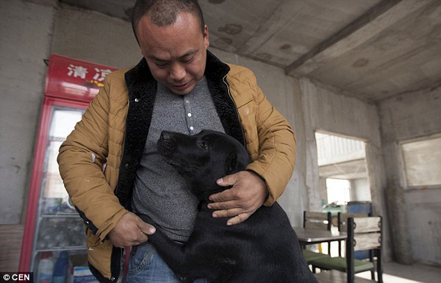 Meet the millionaire who spent all his money saving stray dogs.