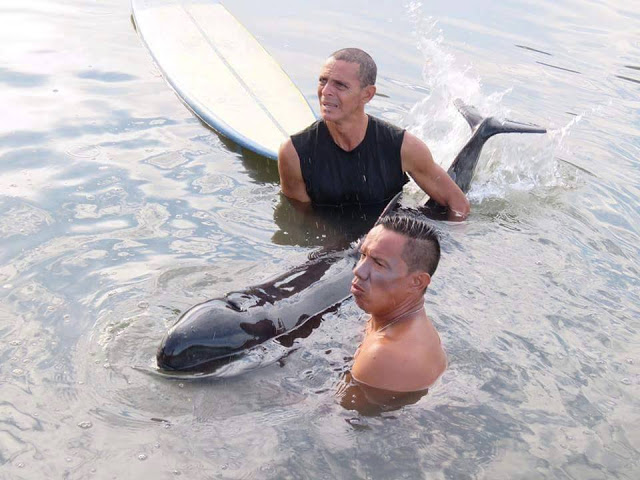 Surfers listen to the whale’s crying baby and spend 6 hours rescuing him