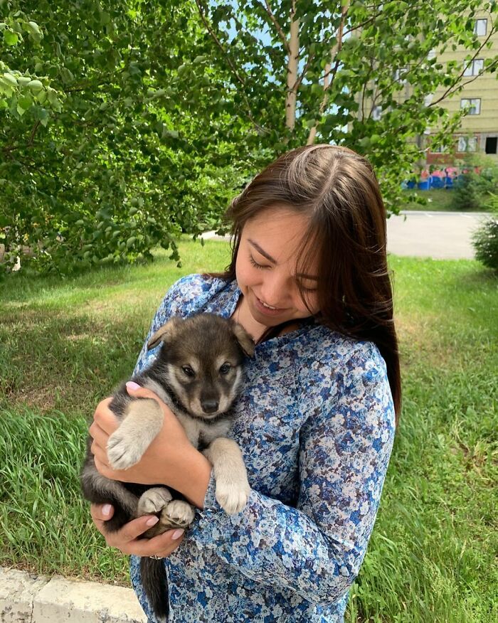 The wolf, abandoned by his mother, grows up with a human family - acting like a dog