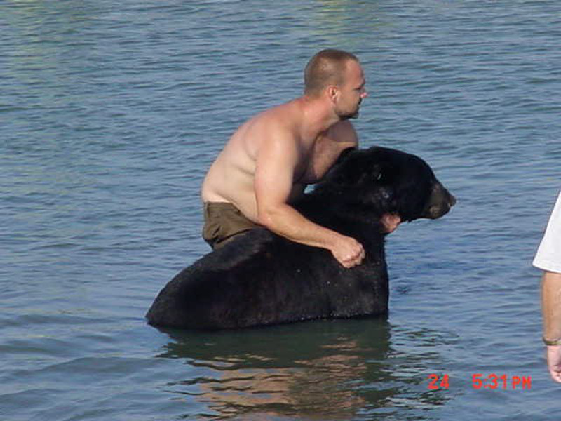 The brave boy risks his life to save the 375lb bear from drowning
