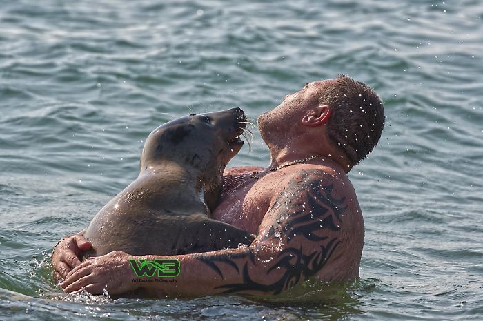 Sammy Sail is very outgoing, he is making human friends on the beach.