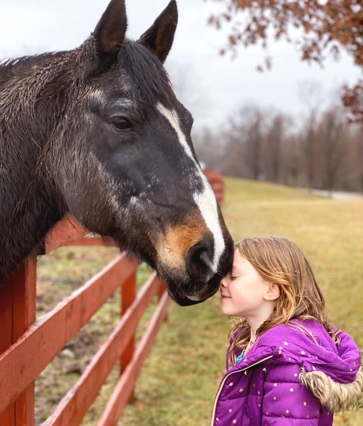 10 pictures prove that animals can solve all our problems.