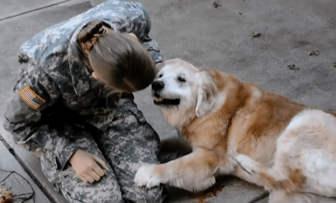 The old dog cries for joy when he sees his best friend returning from the army