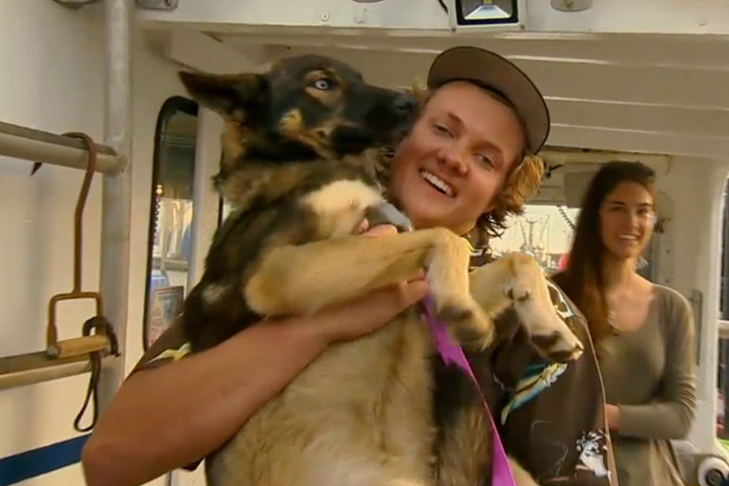 German Shepherd found alive after being lost at sea for five weeks.