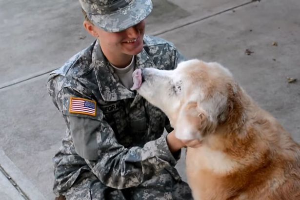 The old dog cries for joy when he sees his best friend returning from the army