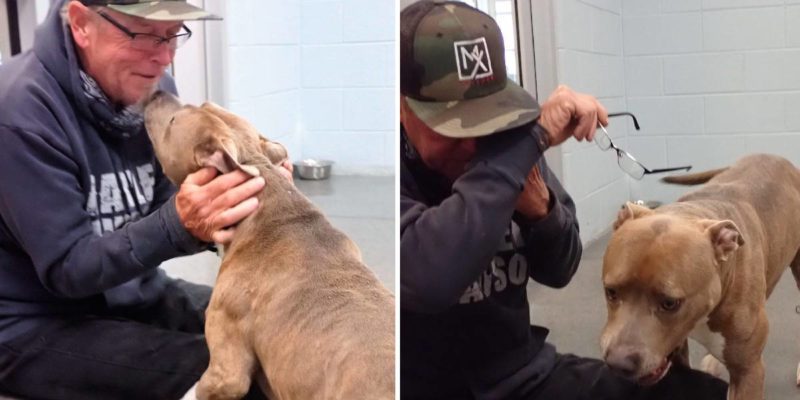 The dog can’t believe he’s reunited with his owner after 200 long days.