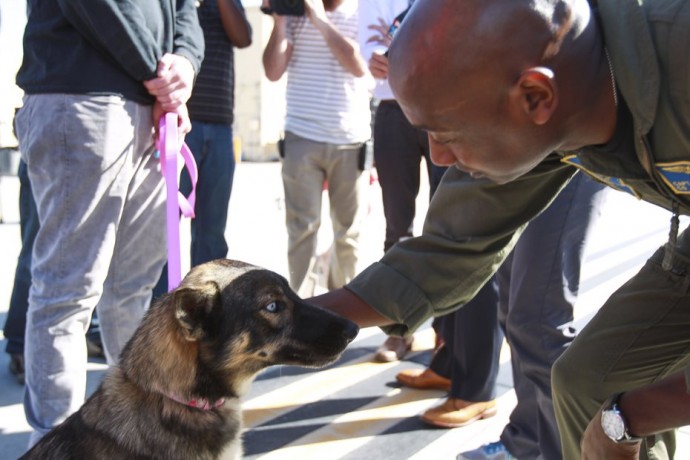 German Shepherd found alive after being lost at sea for five weeks.