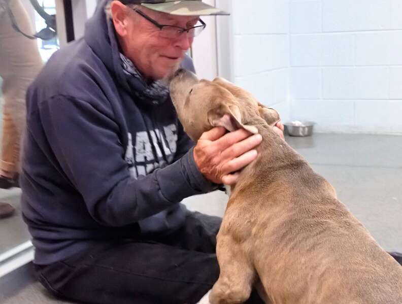 The dog can't believe he's reunited with his owner after 200 long days.