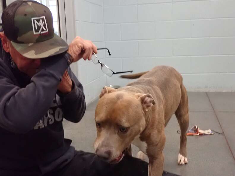 The dog can't believe he's reunited with his owner after 200 long days.