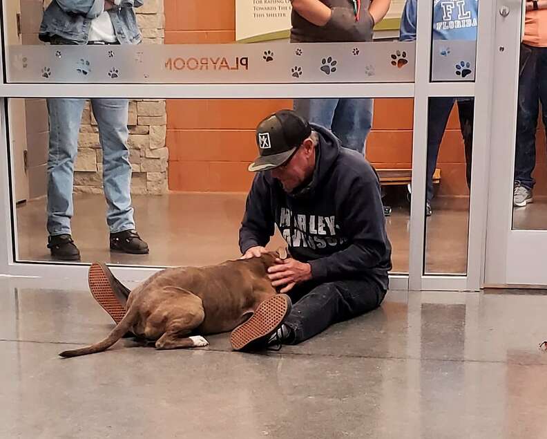 The dog can't believe he's reunited with his owner after 200 long days.