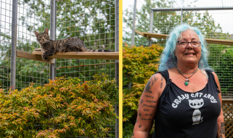 This Couple Faces A Severe Backlash From Their Neighbors After Erecting A Giant Cat Enclosure