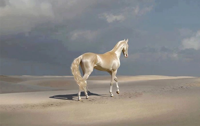 Dubbed "the most beautiful horse in the world", the Akhal-Teke is a brilliant creature that is hard to forget