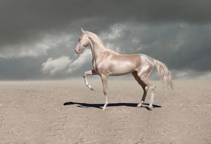 Dubbed "the most beautiful horse in the world", the Akhal-Teke is a brilliant creature that is hard to forget