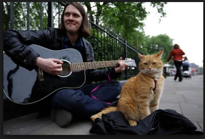 Street Cat Bob, who helped a heroin addict to overcome his addiction, has passed away