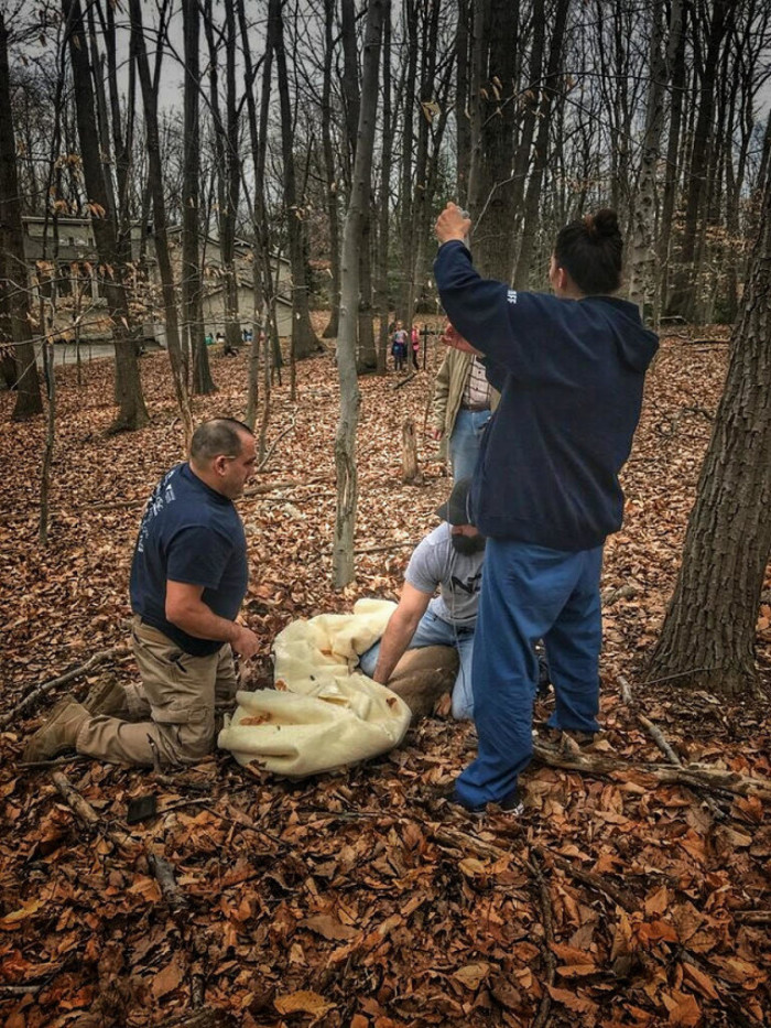 Strange-looking deer rescued after days without food or water