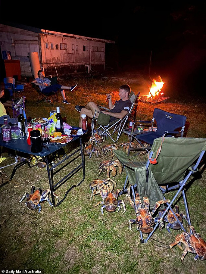 A family goes camping on a remote Australian island when they are suddenly surrounded by large, predatory crabs.