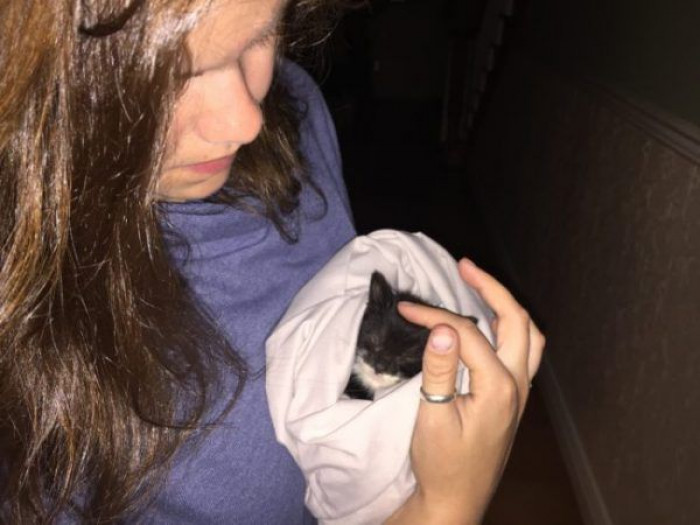 A woman sacrificed her last salary to save a desperate kitten from the rain