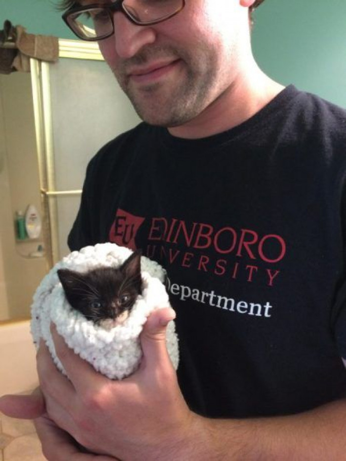 A woman sacrificed her last salary to save a desperate kitten from the rain