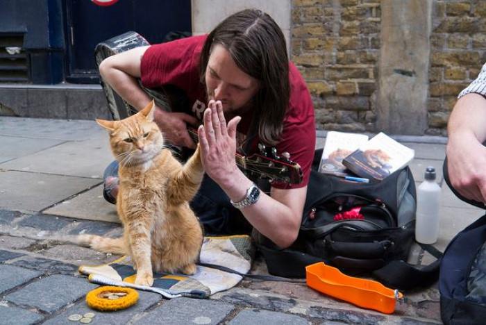 Street Cat Bob, who helped a heroin addict to overcome his addiction, has passed away